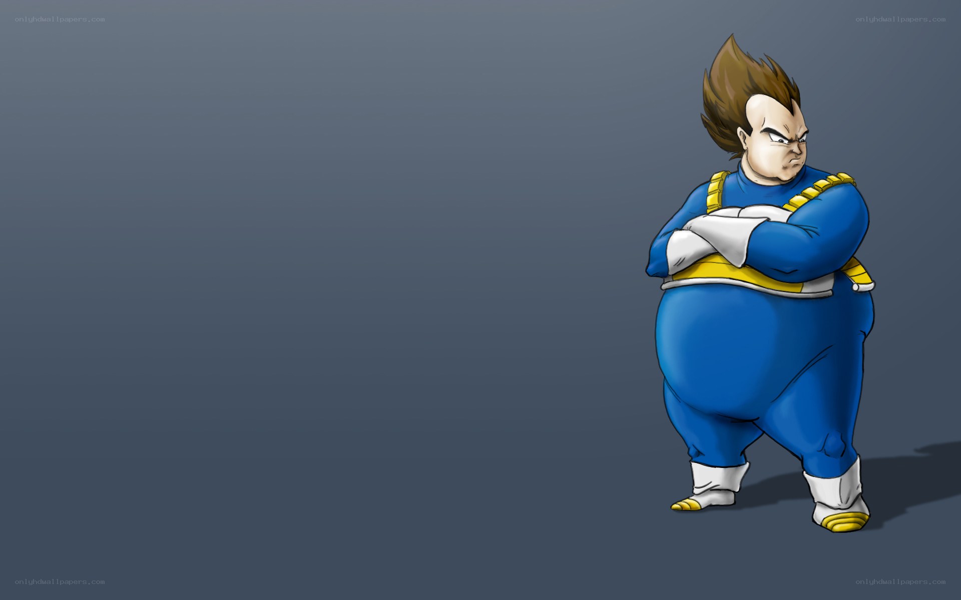 Fat Vegeta character