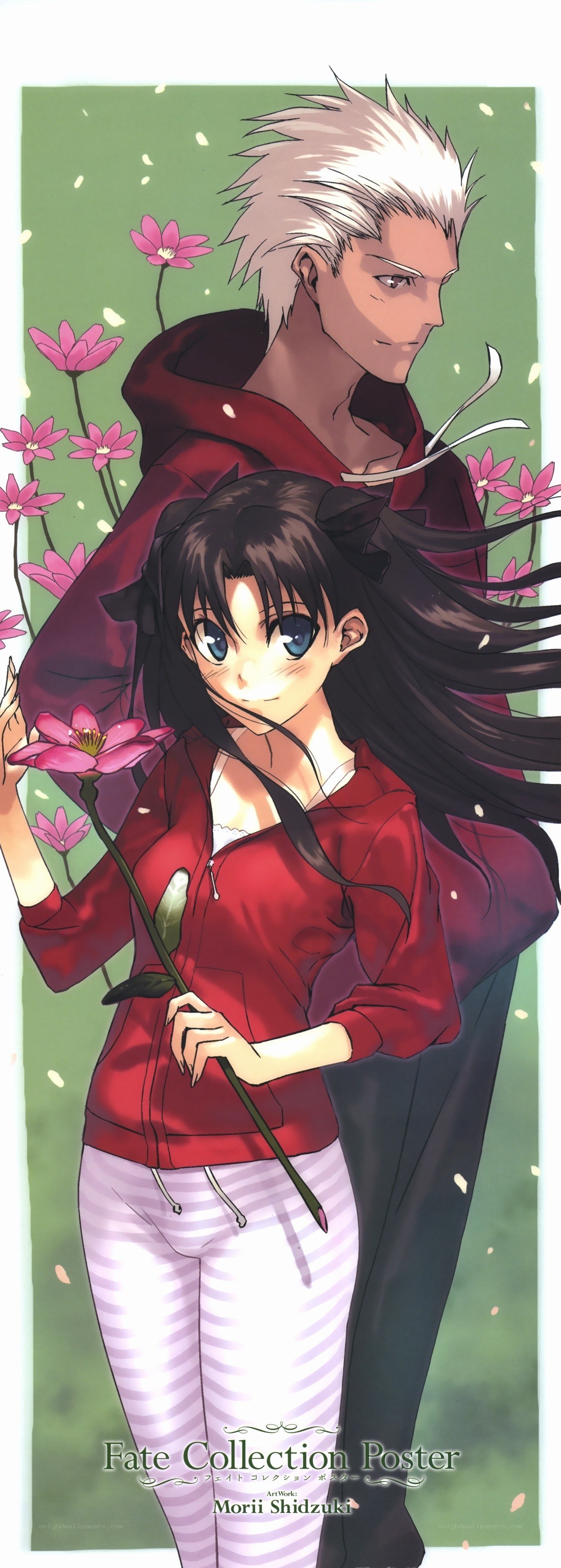 Fate character illustration