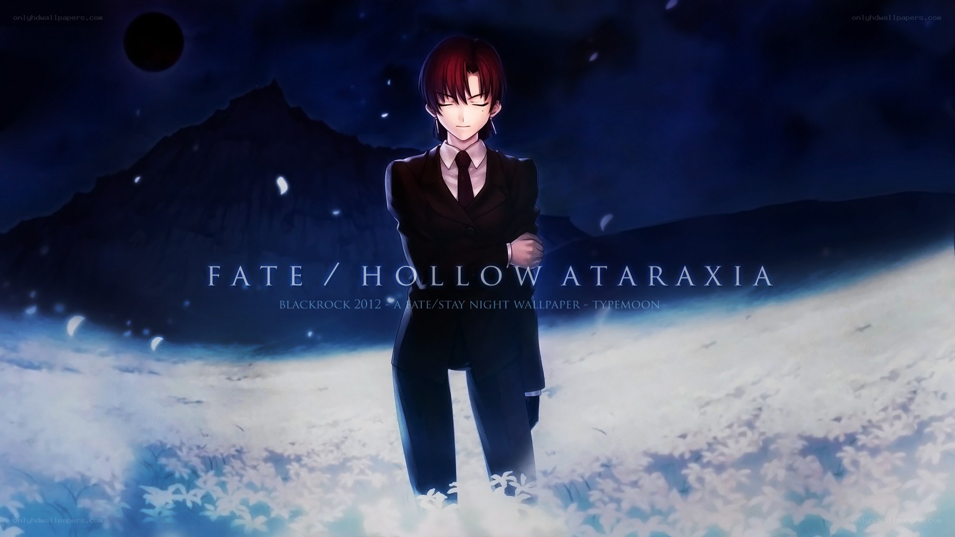 Fate Hollow Ataraxia wallpaper