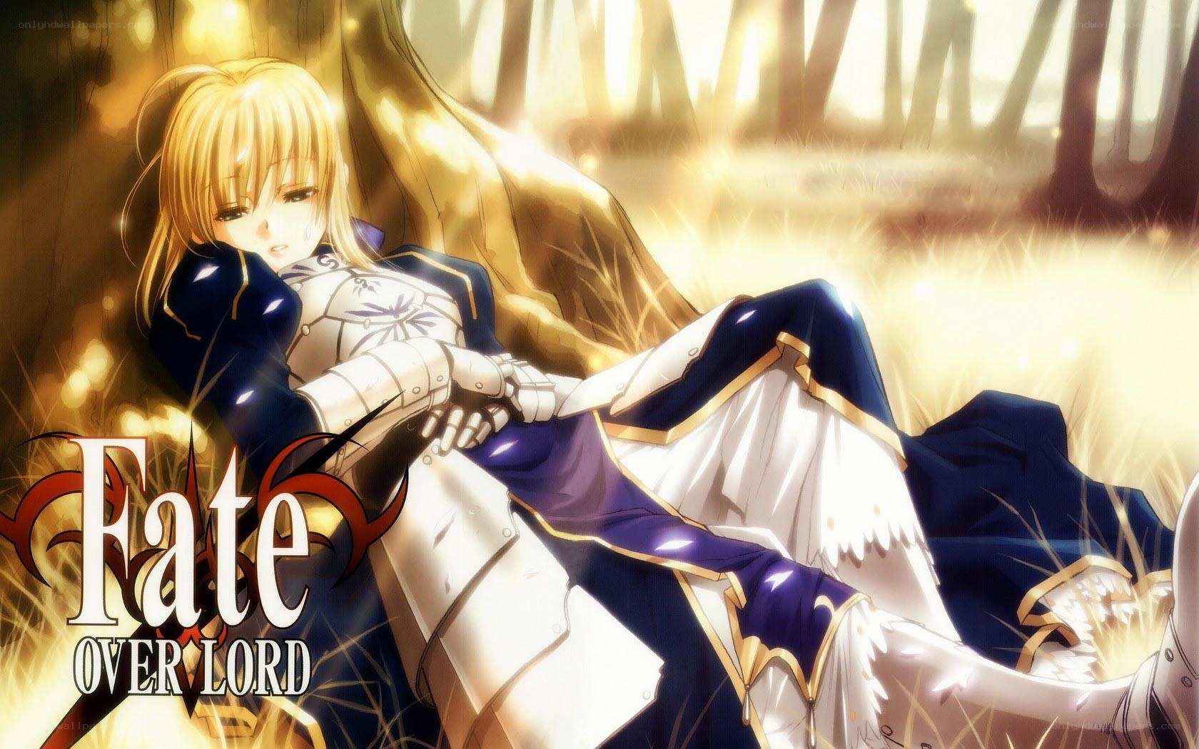 Fate/OverLord character art