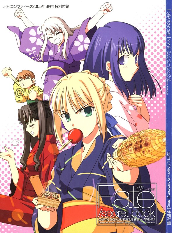 Fate/secret book cover art