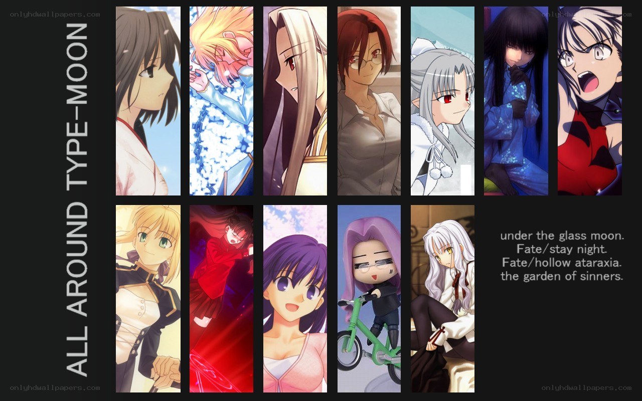 Fate series character collage