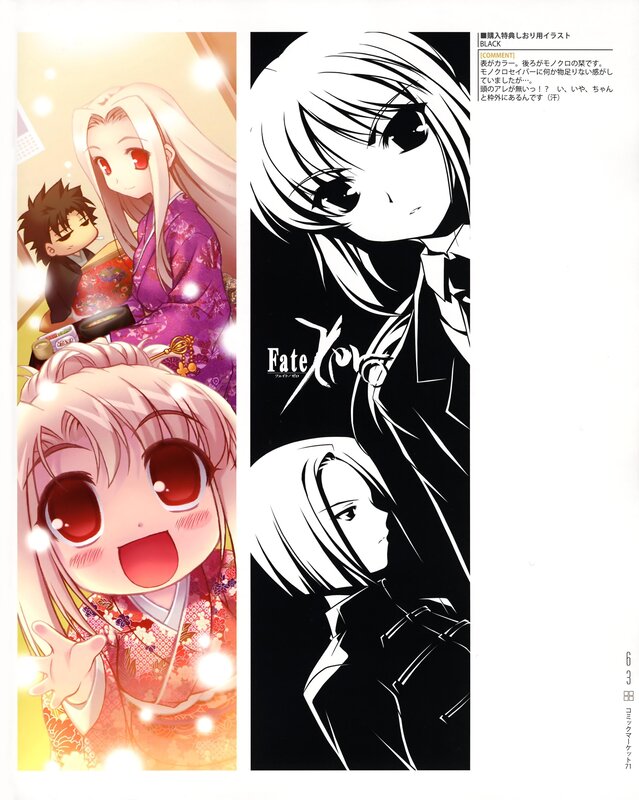 Fate/stay night character art