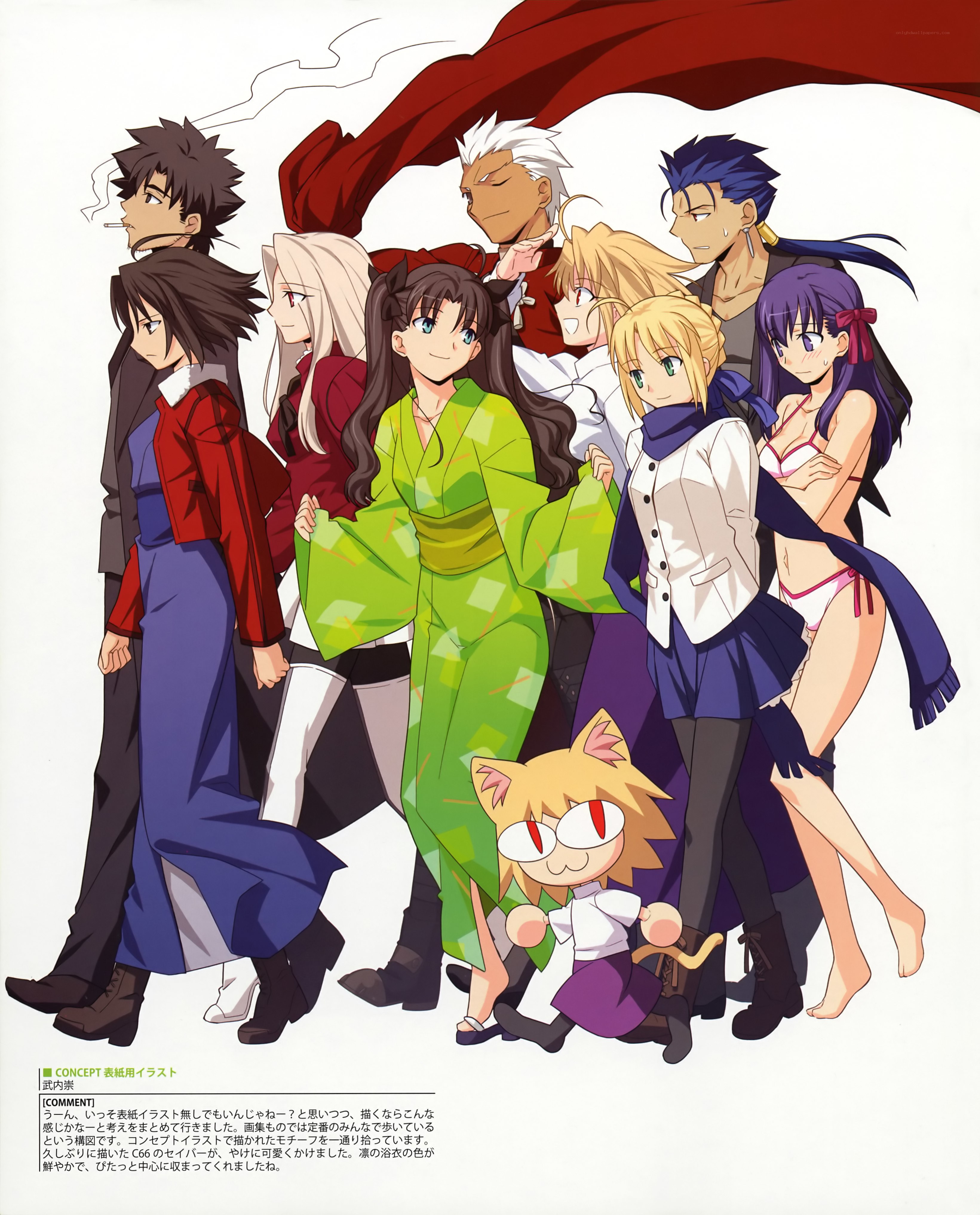 Fate/stay night character group