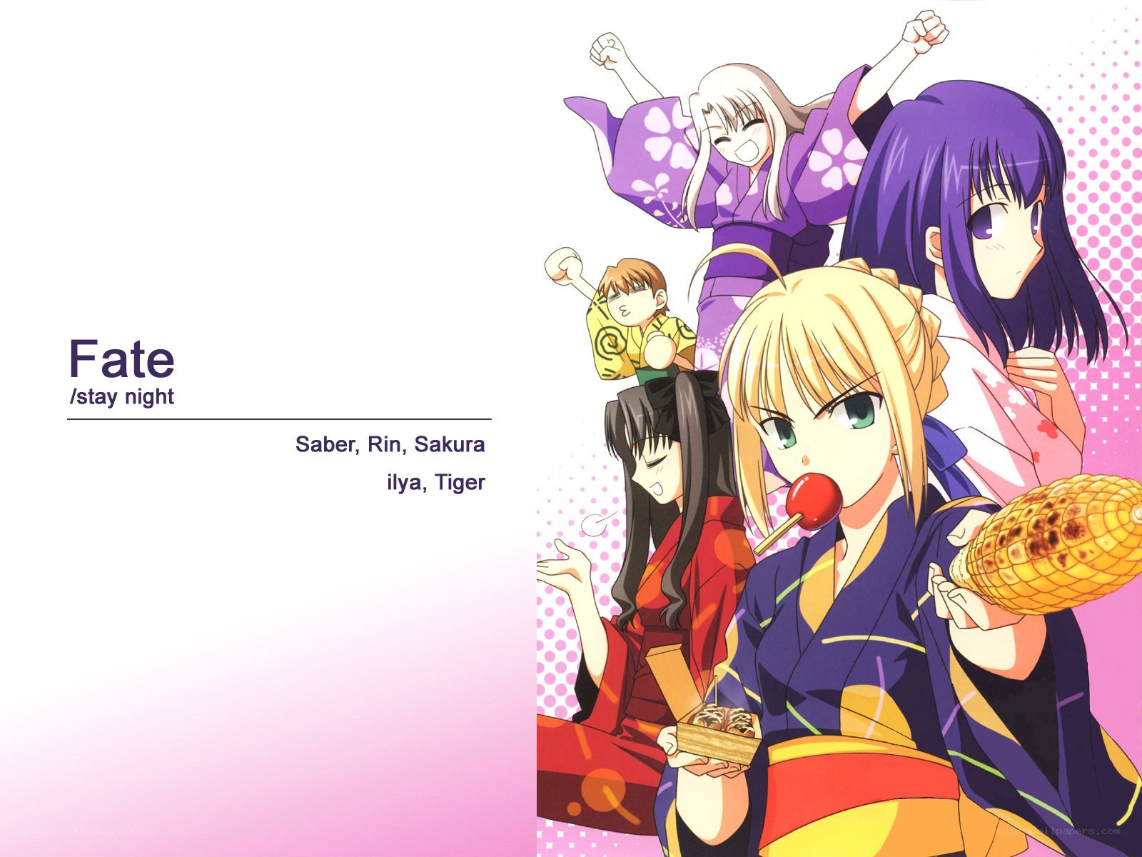 Fate/stay night characters