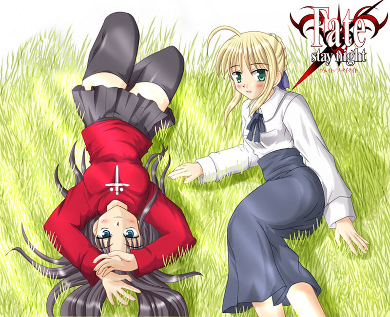 Fate/stay night characters in field
