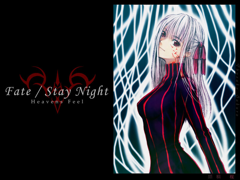 Fate/stay night Heavens Feel