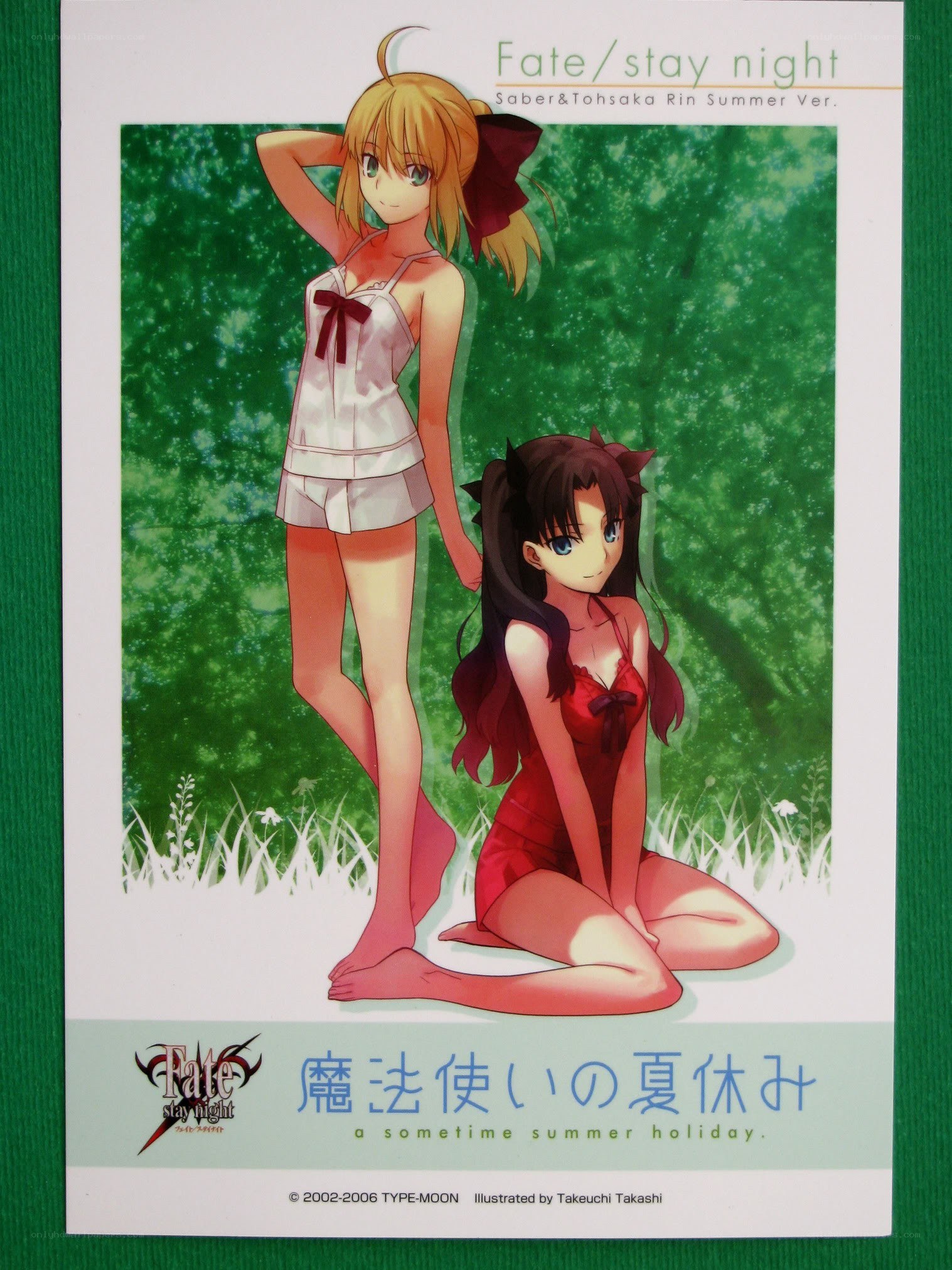 Fate/stay night summer art