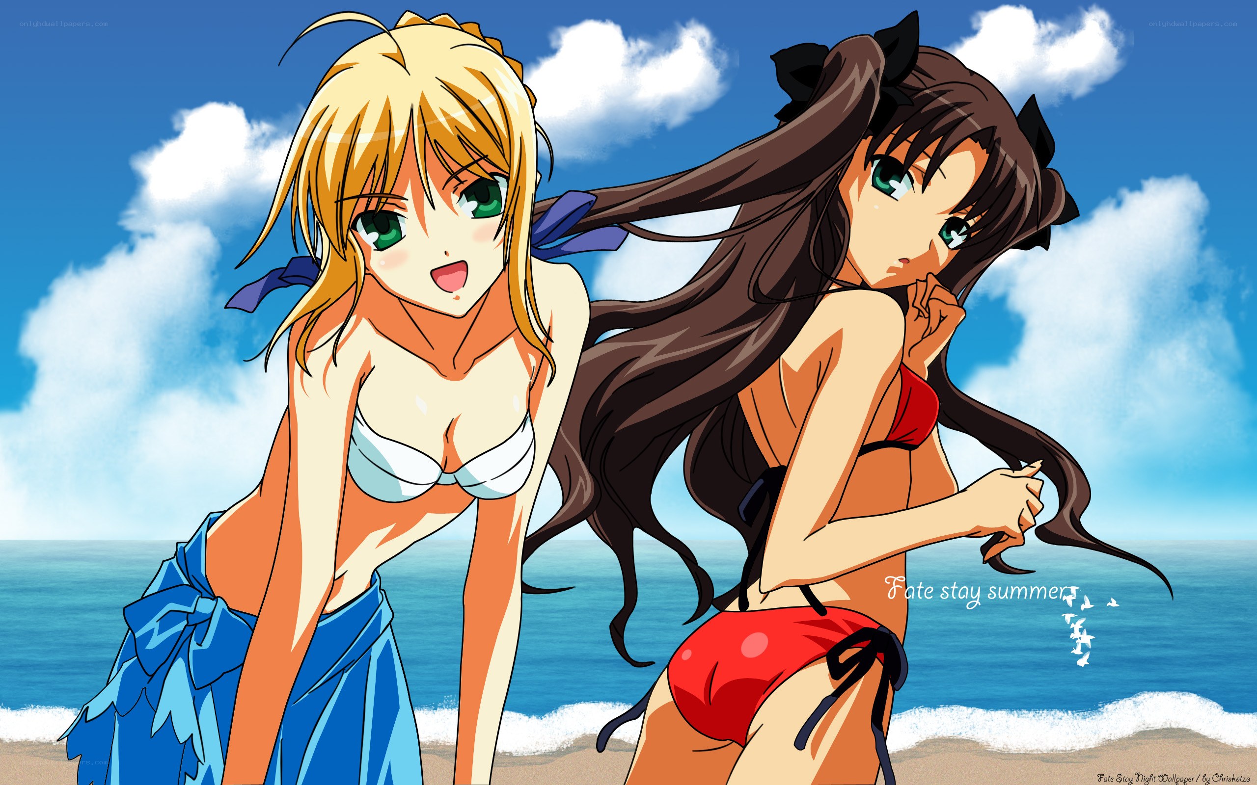 Fate stay summer beach