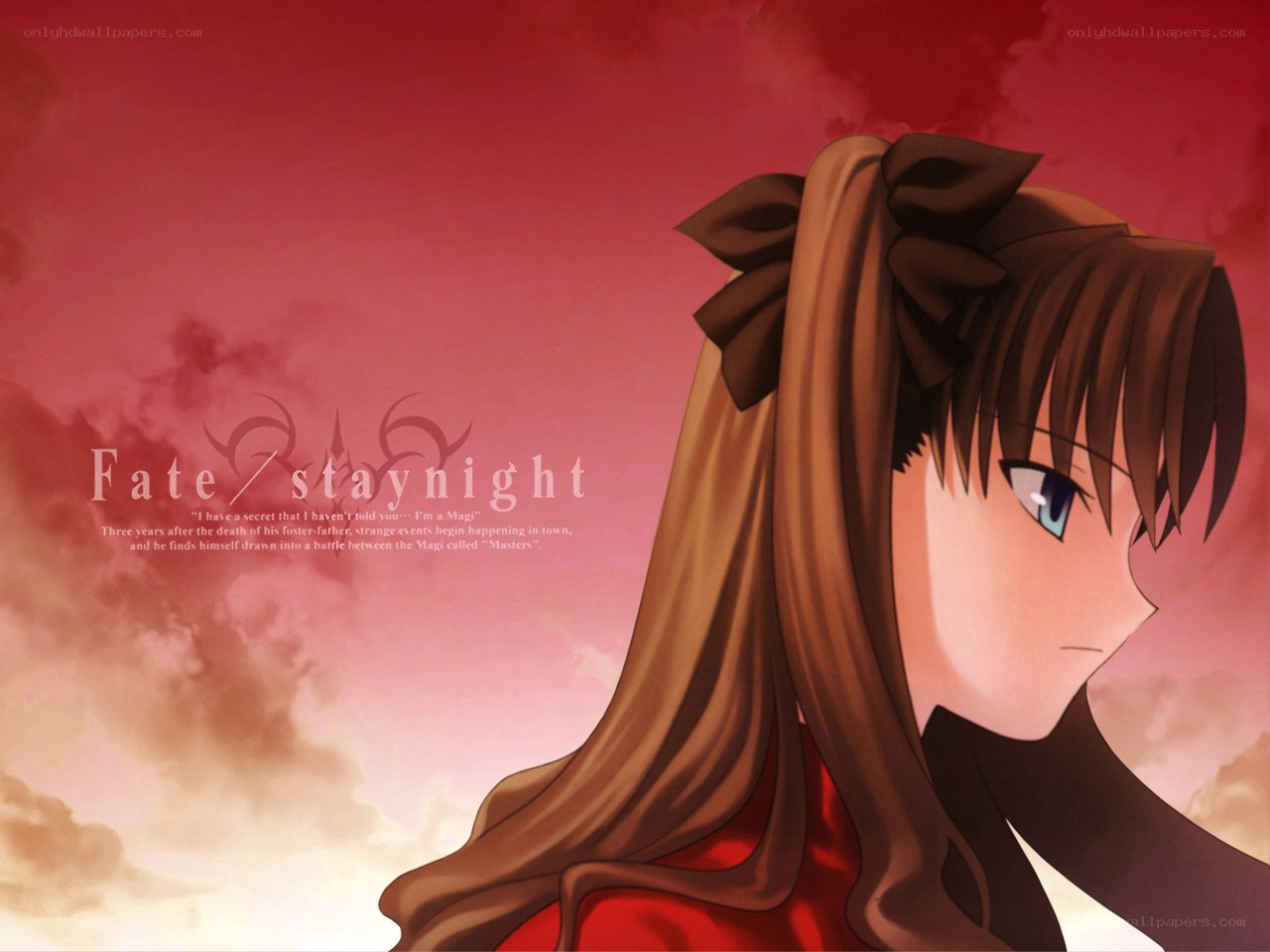 Fate/staynight anime character
