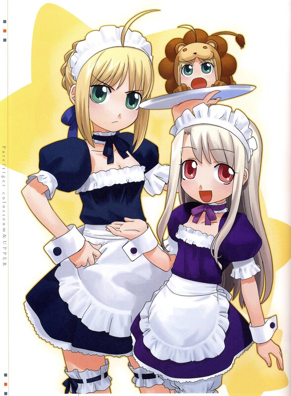 Fate/tiger colosseum characters