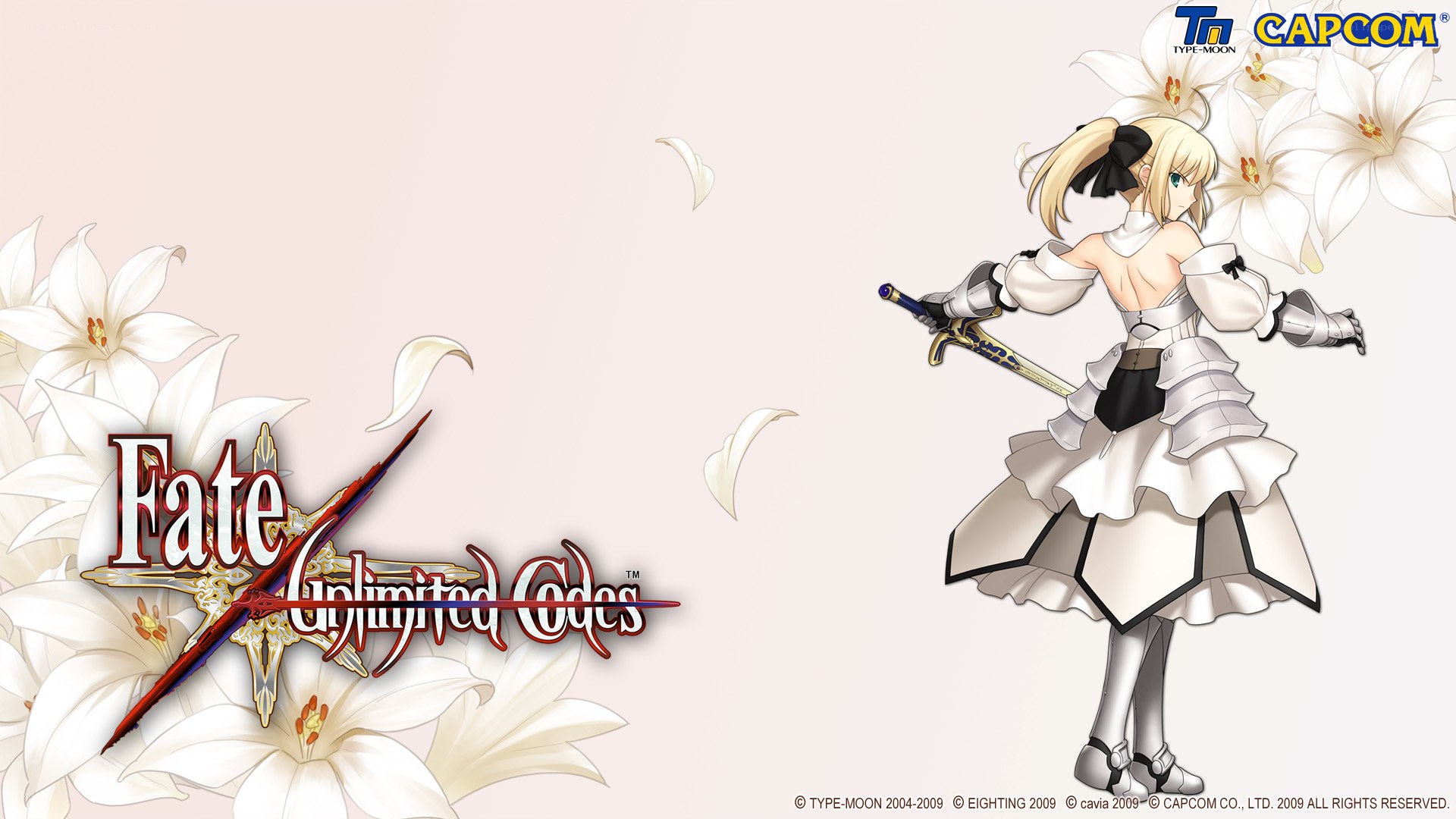 Fate/Unlimited Codes artwork
