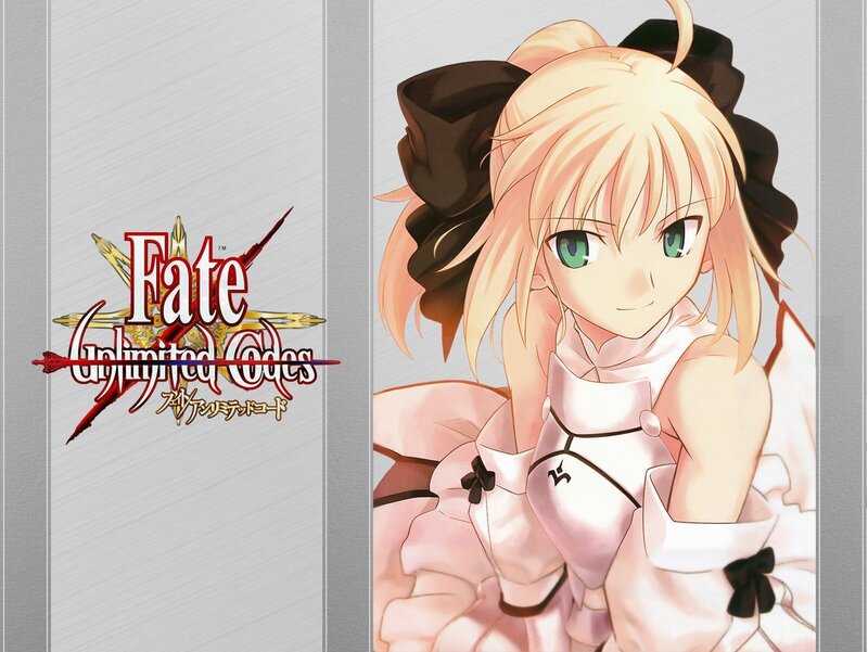 Fate/Unlimited Codes artwork