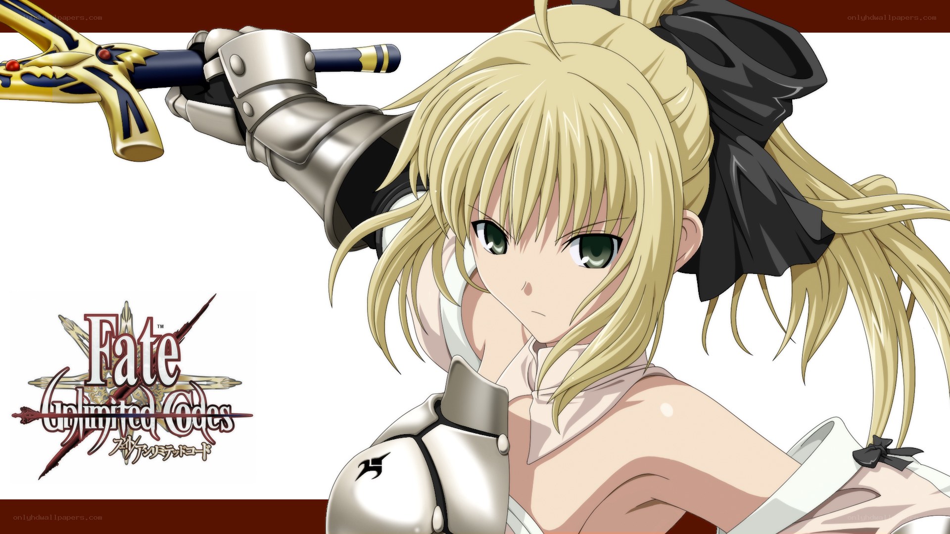 Fate Unlimited Codes character art