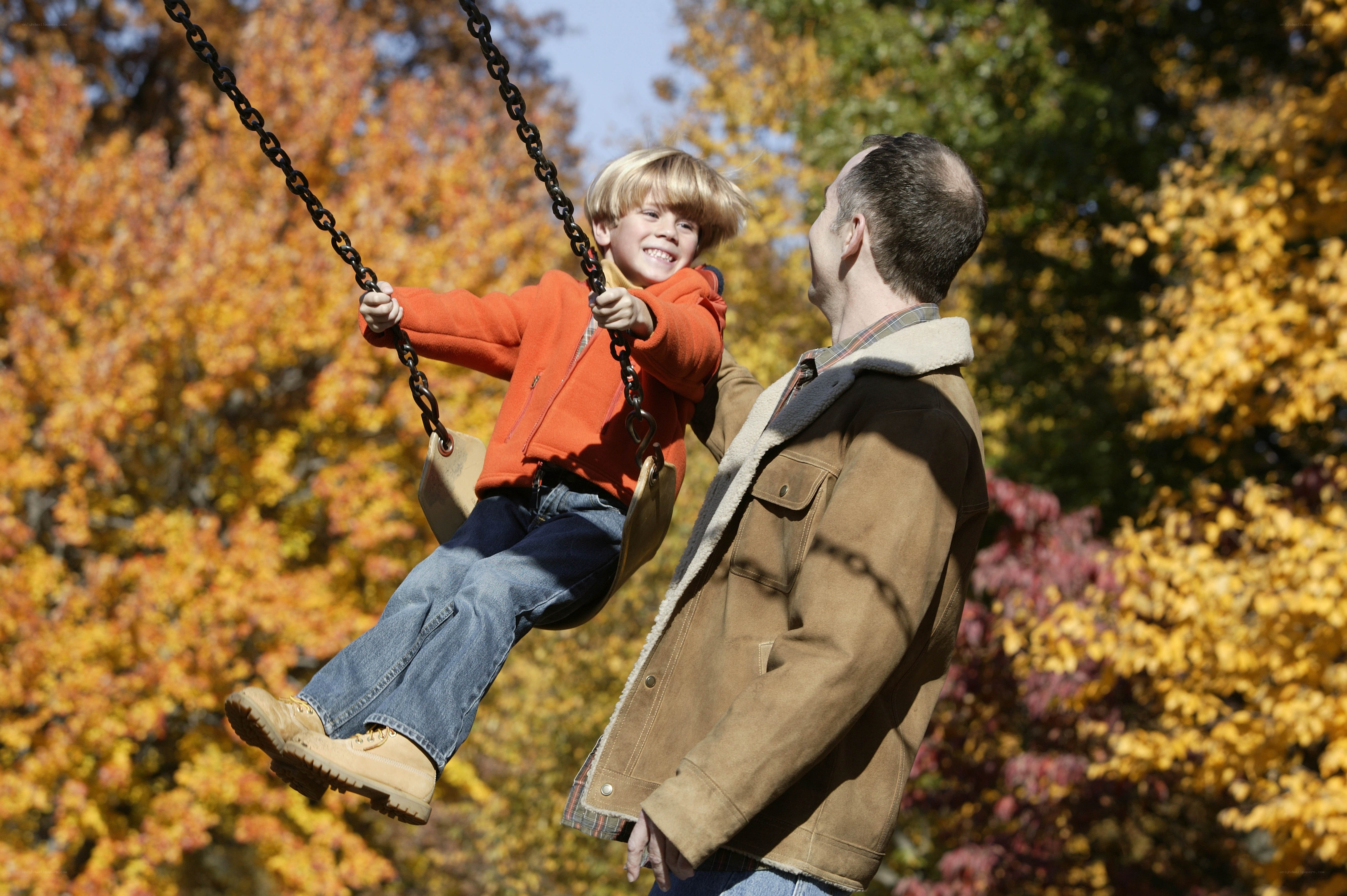 Father pushing son on swing