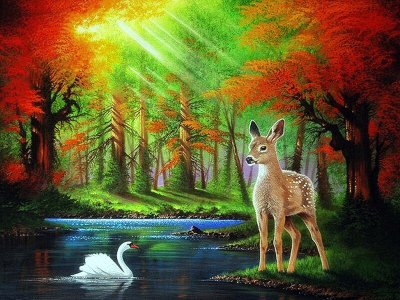 Fawn and Swan in Forest
