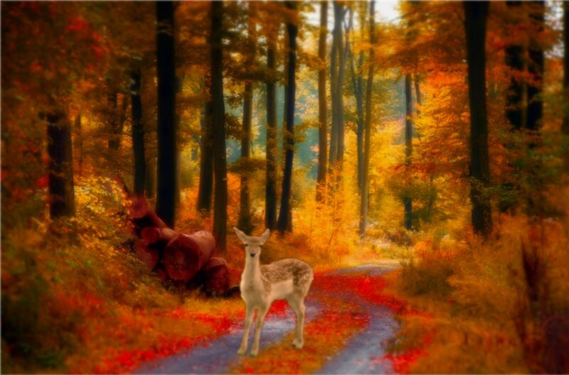 Fawn in Autumn Forest — Orange, Serene
