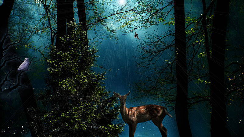 Fawn in Forest — Blue
