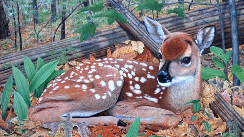 Fawn in Forest — Brown, Serene, Autumn, Painting