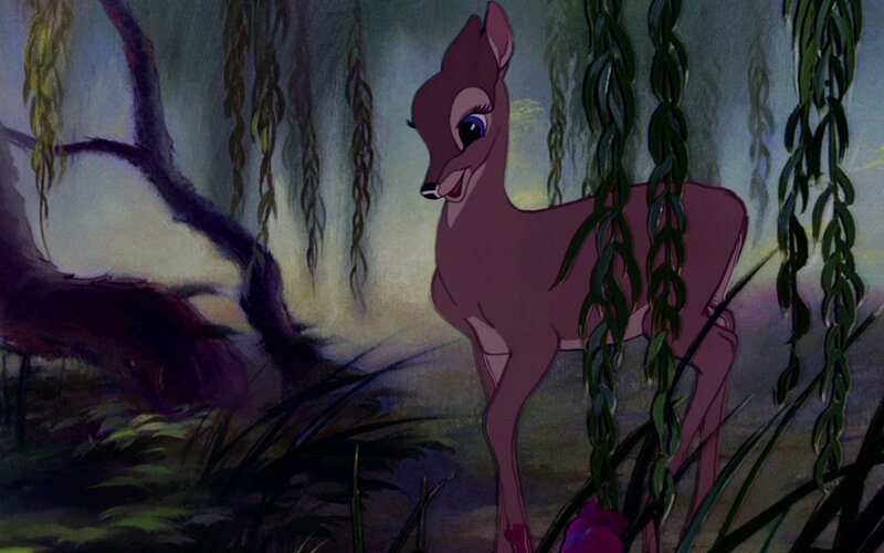 Fawn in Forest — Brown, Serene, Night