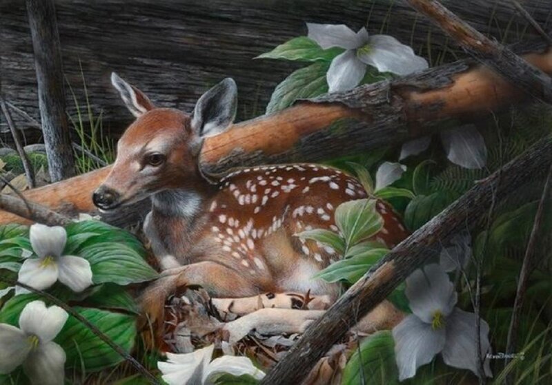 Fawn in Forest — Brown, Serene, Spring