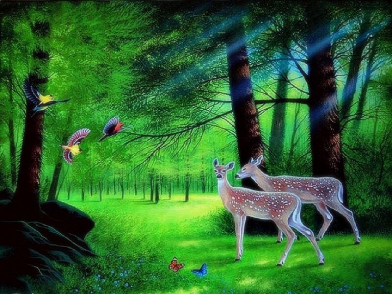 Fawn in Forest — Green, Serene, Morning, Digital Art
