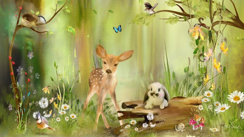 Fawn in Forest — Green, Serene, Spring
