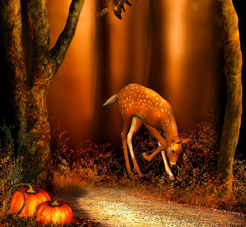 Fawn in Forest — Orange