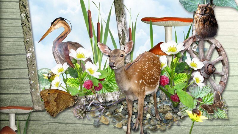 Fawn in Garden Collage