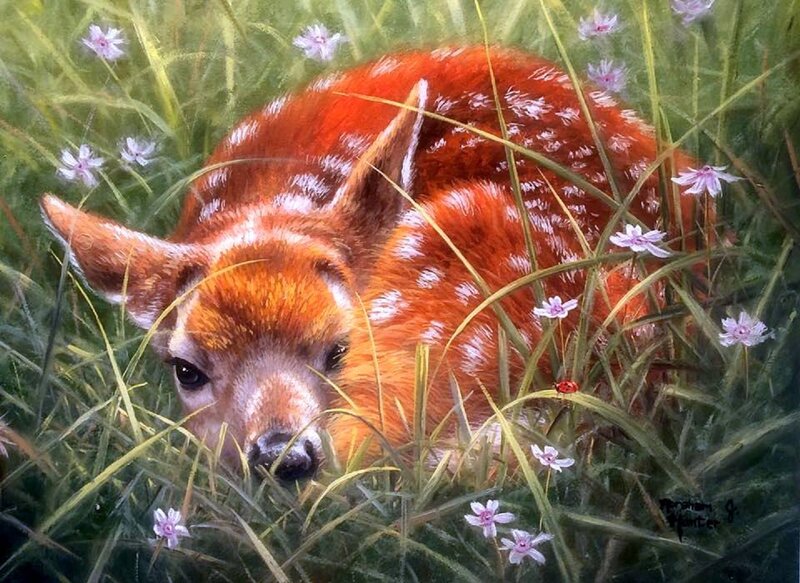 Fawn in Grass — Green, Serene, Spring, Painting