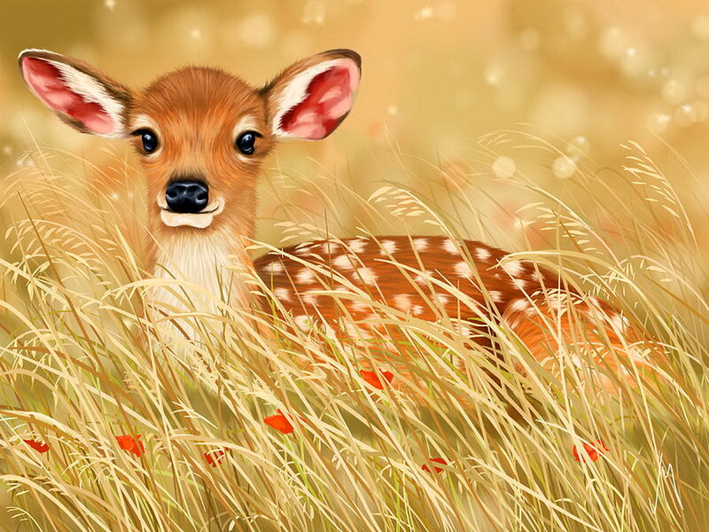 Fawn in Tall Grass — Brown, Serene