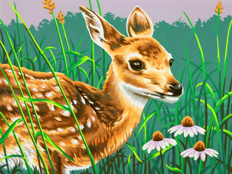 Fawn in Tall Grass — Green, Serene, Morning