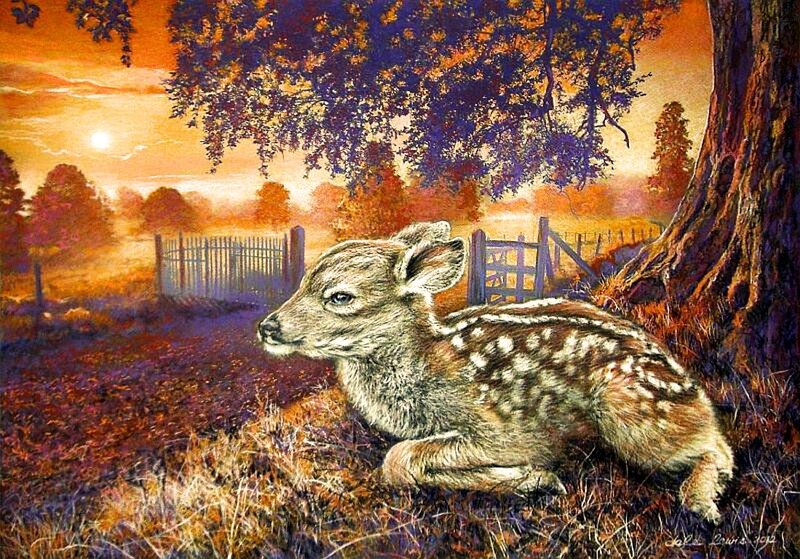 Fawn Resting under Tree