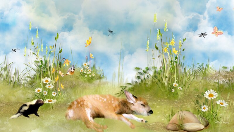 Fawn Sleeping in Field