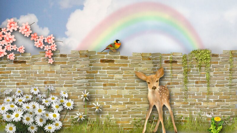 Fawn Standing by Wall