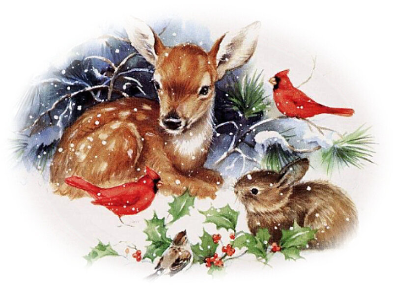 Fawn with Birds and Rabbit