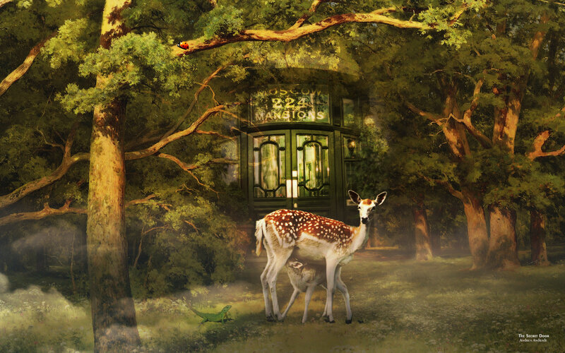 Fawn with Mother in Forest