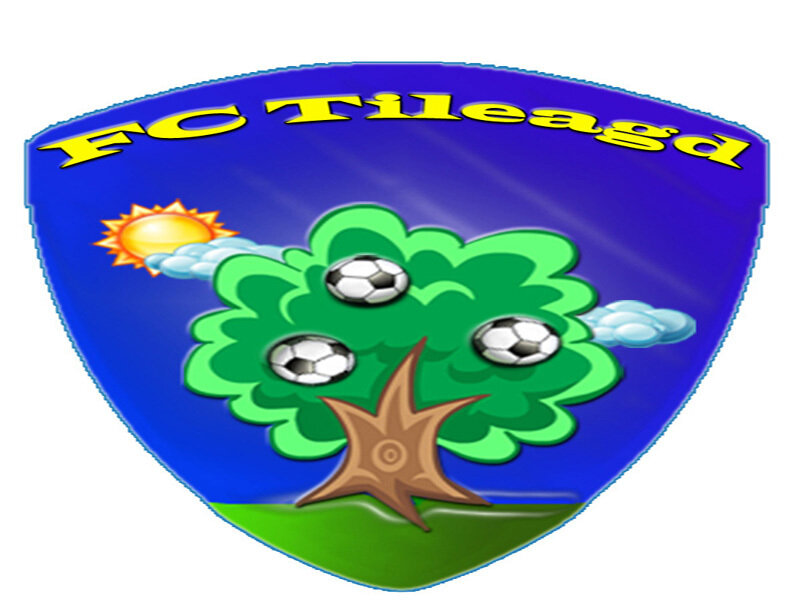 FC Tileagd logo