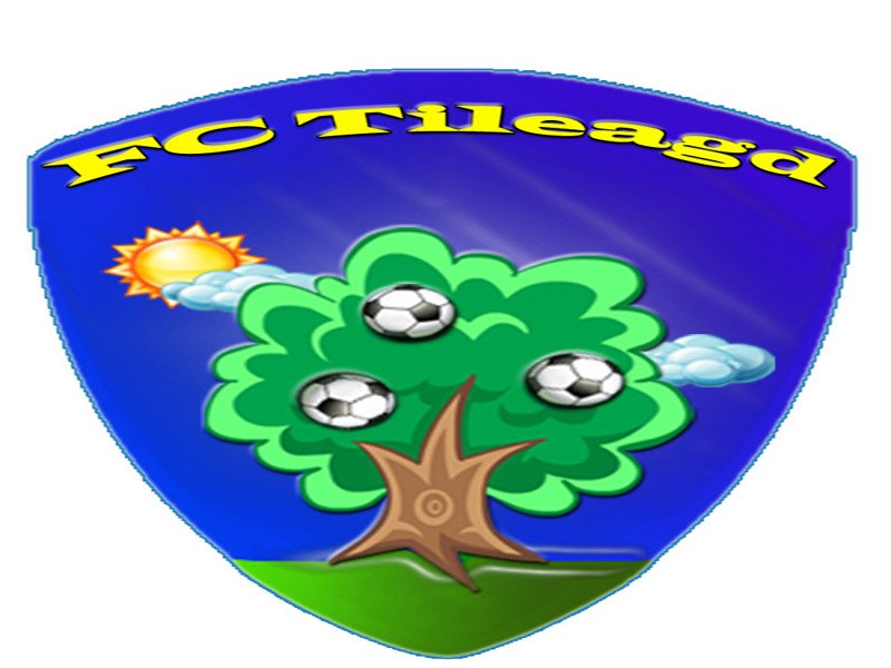 FC Tileagd logo