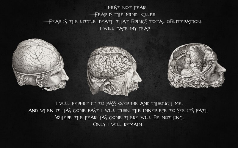 Fear and the Mind-Killer