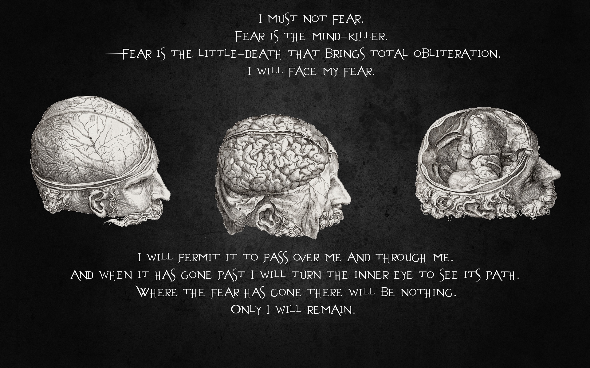 Fear and the Mind-Killer