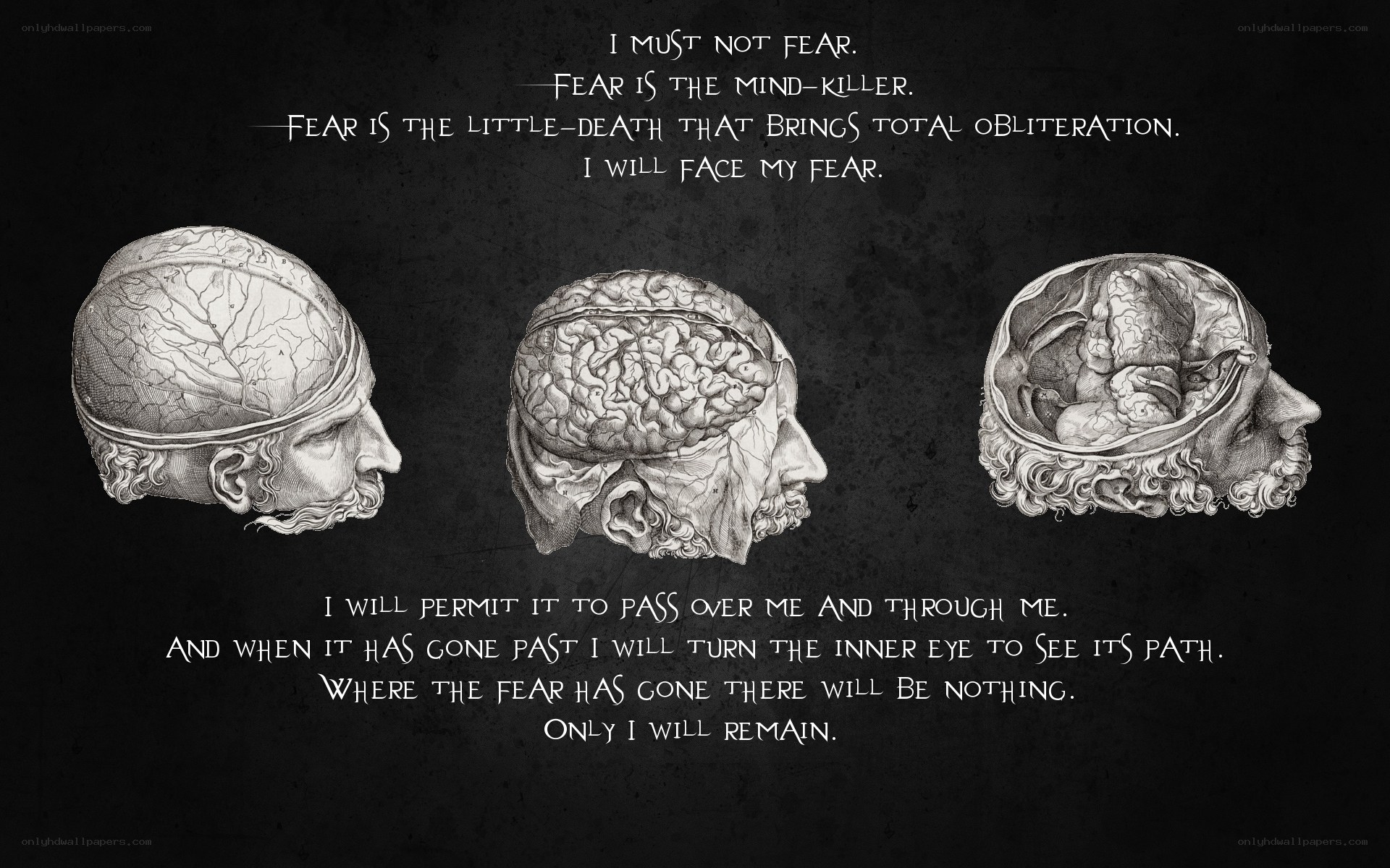 Fear and the Mind-Killer