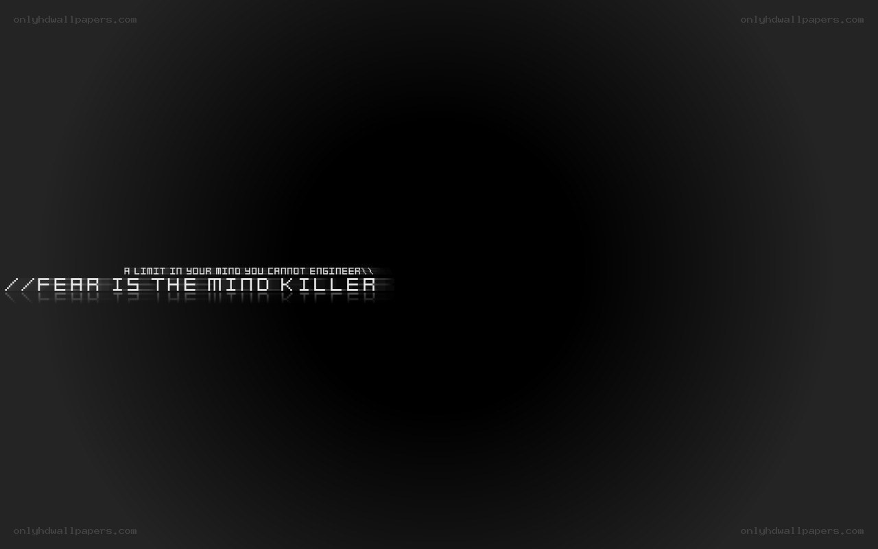 fear is the mind killer