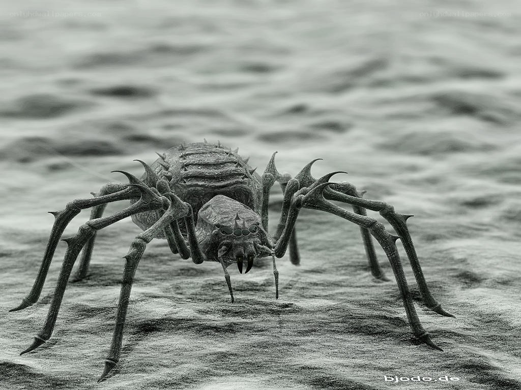 fearsome spider creature
