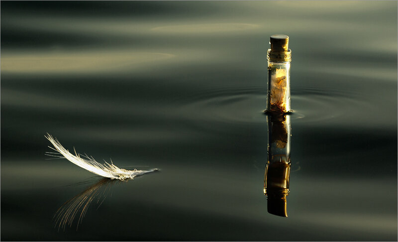 feather and bottle on water