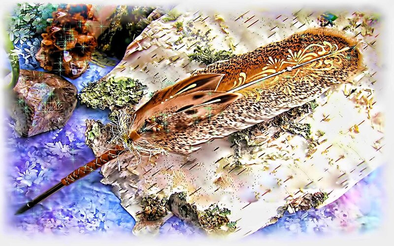feather and crystals on birch bark