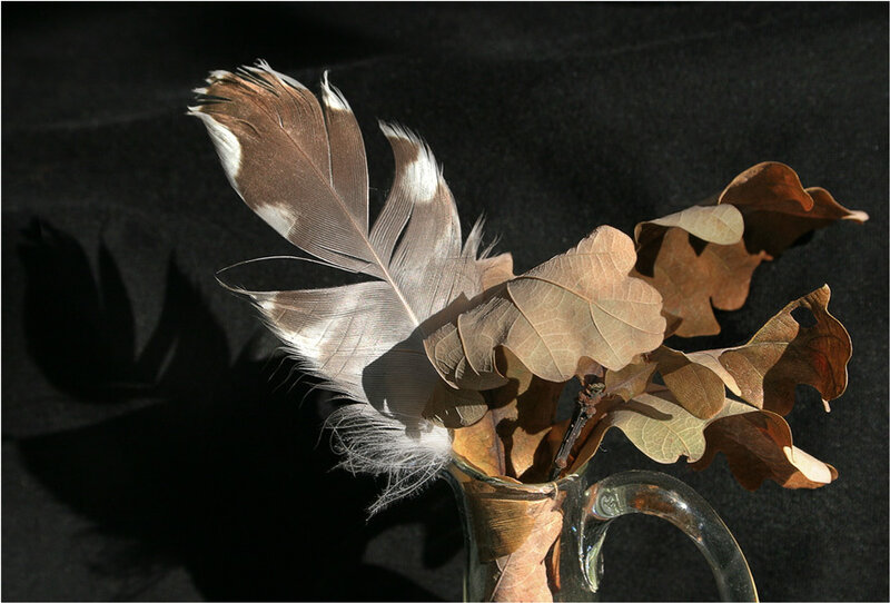 Feather and leaves in a vase