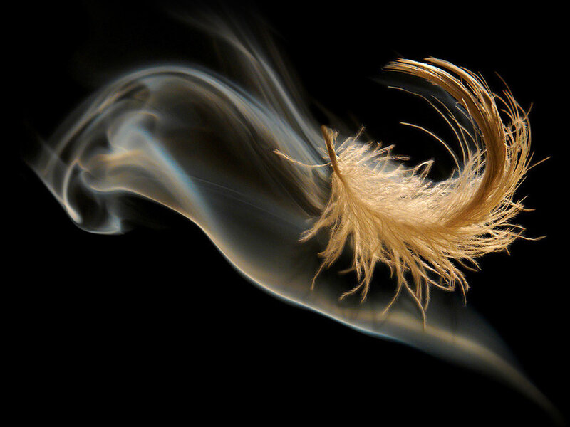 feather and smoke in motion