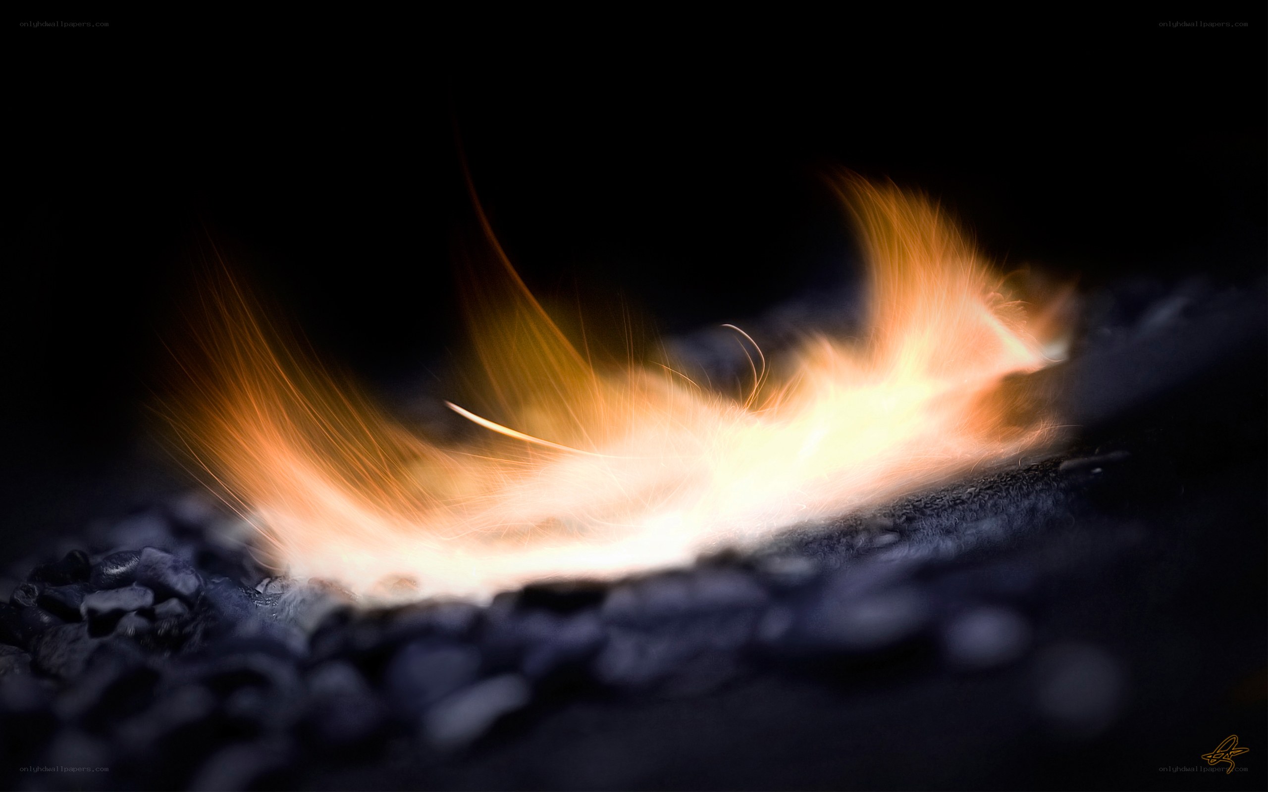 feather burning in darkness