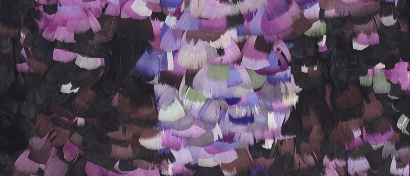 Feather Collage Texture